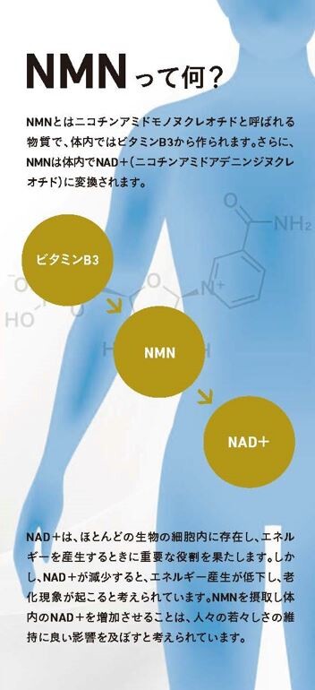 NMNエスコート 健康 サプリメント ニコチンアミドモノヌクレオチド 美容 日本 女性 男性