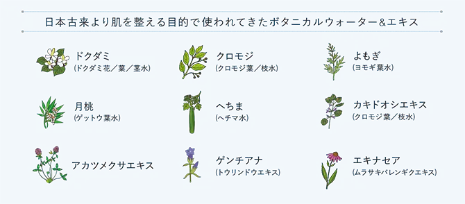 BLUME edena ジャパニーズハーバルスキンローション 【水さえ使っていないエイジングケアのための化粧水】