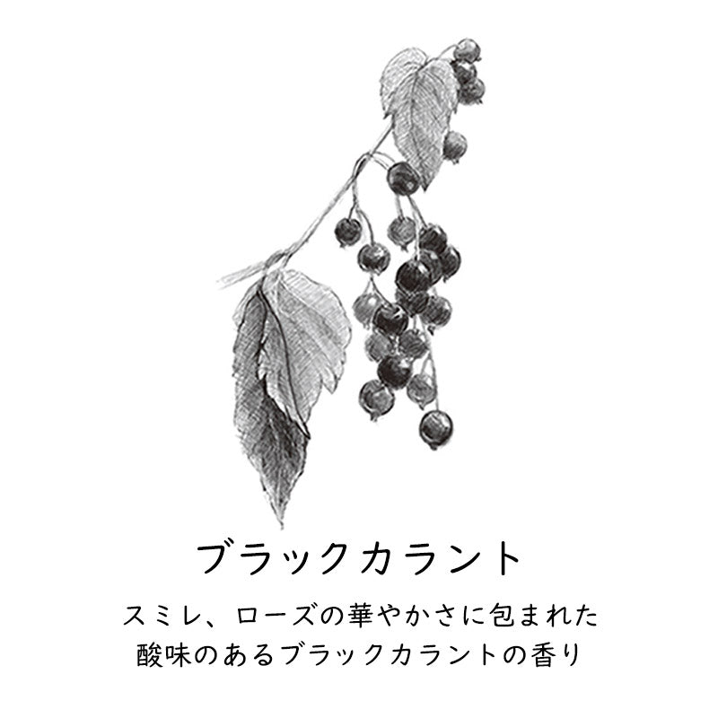 GRASSE TOKYO ボディスクラブ 35g ブラックカラント【ボディケア】【オーガニック】